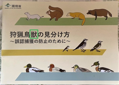 鳥獣の見分け方