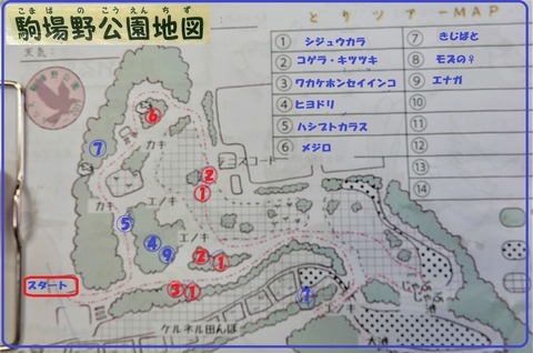 0駒場野公園内野鳥