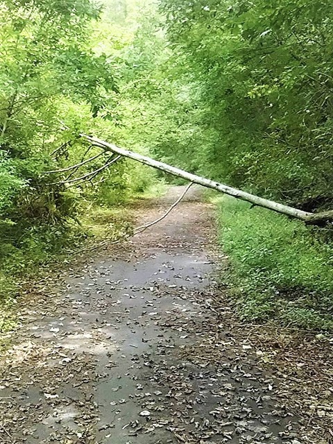 山道探索開始