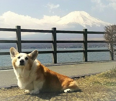 00はれ山中湖