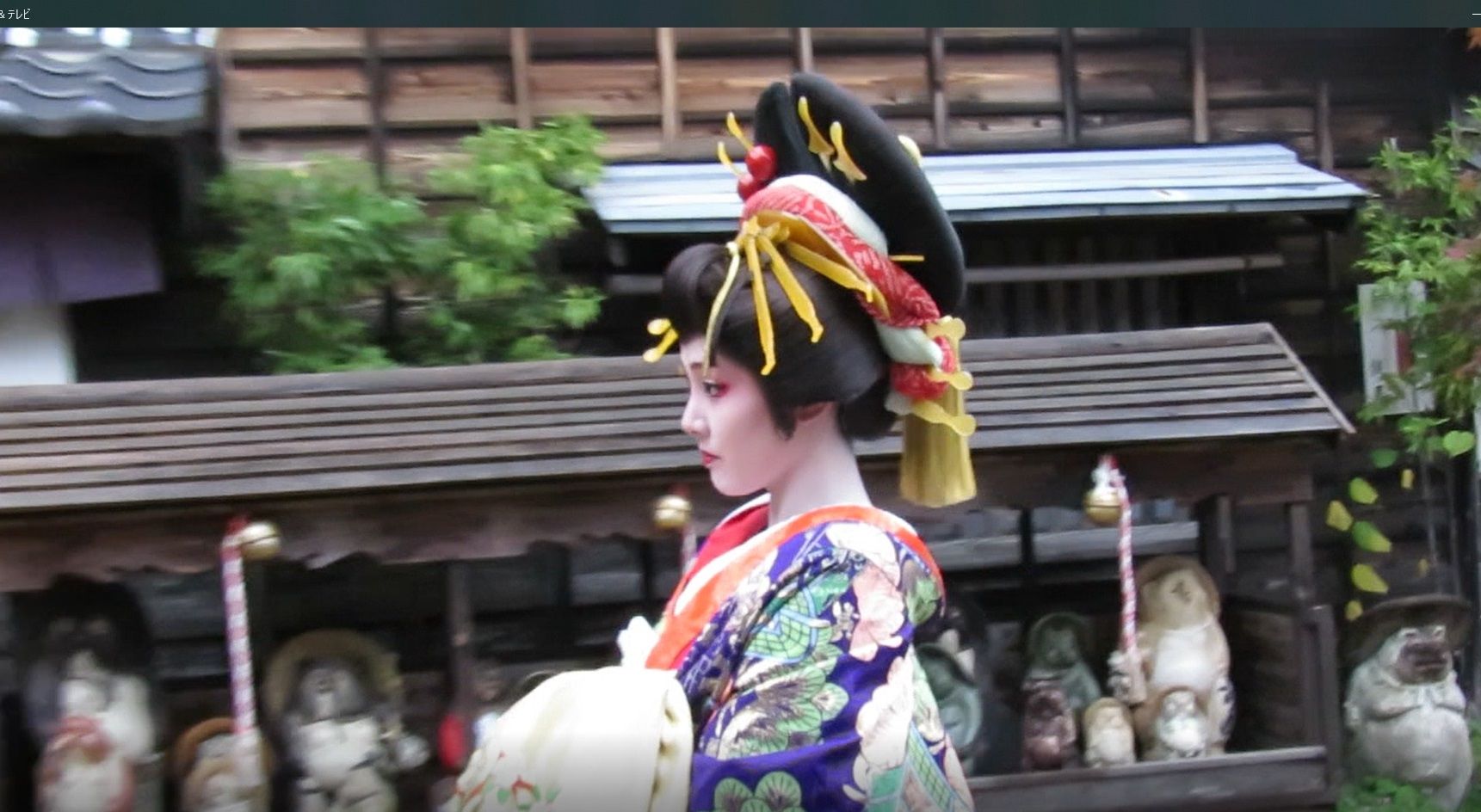 日光の狸と秋の紅葉な花魁道中 狸が如く見参 ﾀﾇｷｳｫｰｶｰｽﾞ野生動物探索日記
