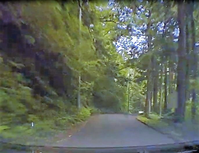 タヌキ散策がガキの使い松本人志の廃旅館一泊の旅ロケ地へ ﾀﾇｷｳｫｰｶｰｽﾞ野生動物探索日記