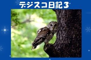 デジスコ日記３