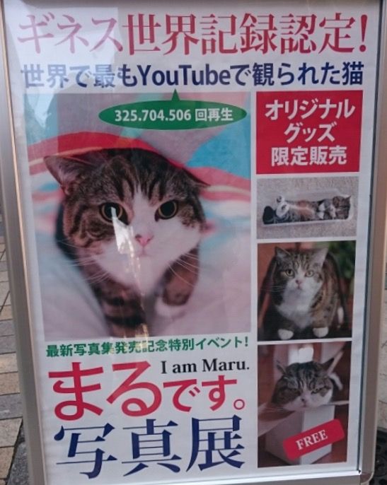 まる 私信