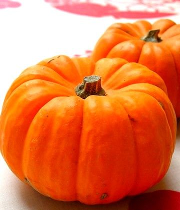 プチかぼちゃのグラタン２種 異邦人の食卓
