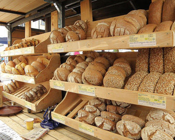 中世のお城が見下ろす町ーcelje 異邦人の食卓 中世のお城が見下ろす町ーcelje 異邦人の食卓