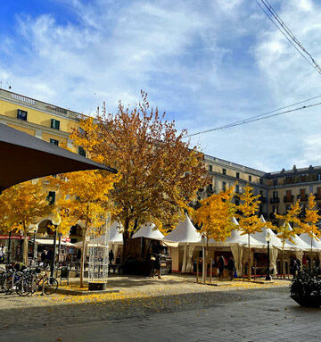 gerona3