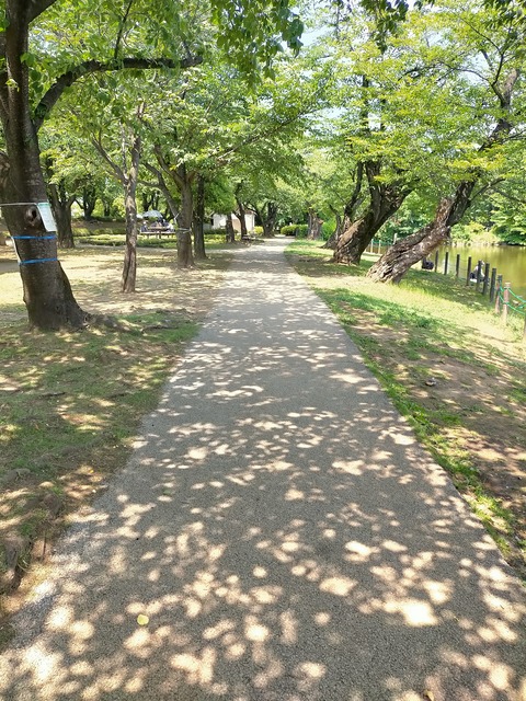 IMG20220530132324