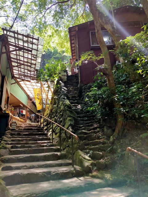 IMG20220701125725