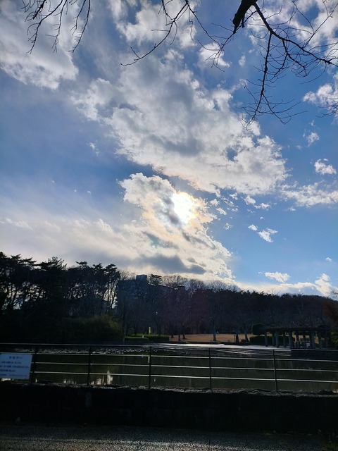 IMG20231222140924
