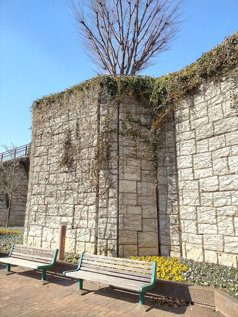 IMG20220127133820