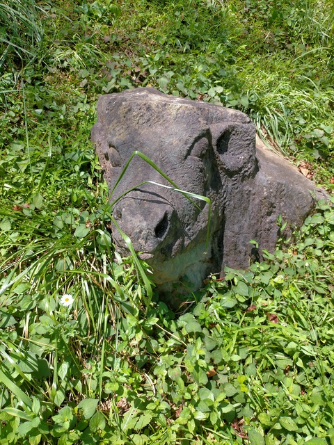 IMG20210725112036