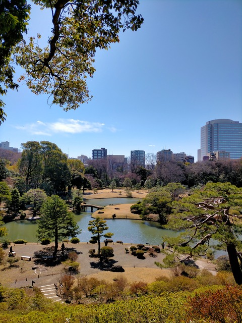 IMG20240321092427