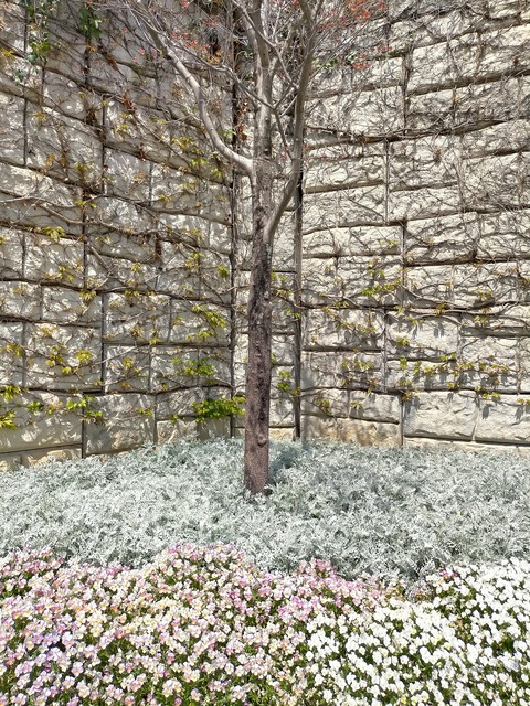 IMG20240414112717