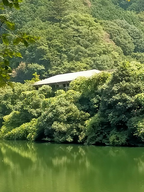 IMG20240813125307