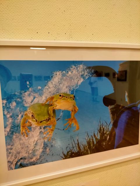 IMG20230804110434