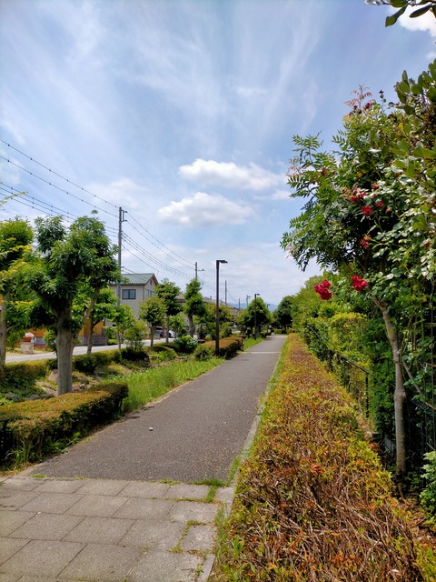 IMG20210618114002