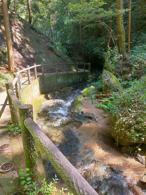 IMG20240906112920
