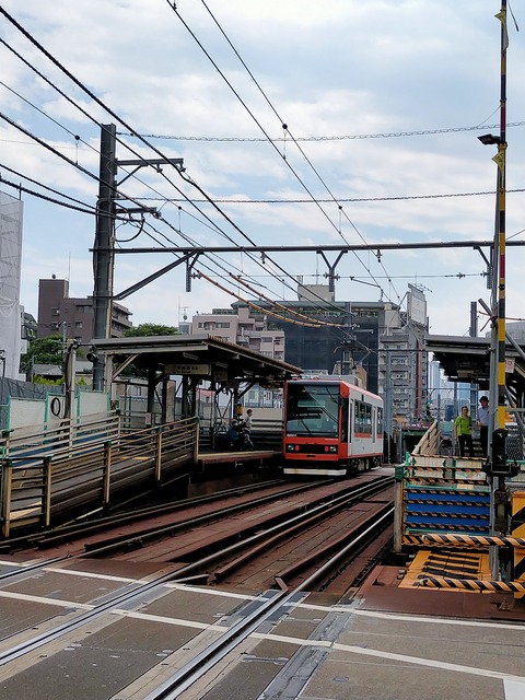 IMG20240521141158