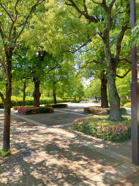 IMG20220525124814