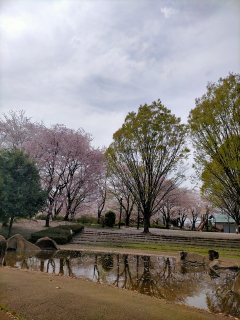 IMG20240411123709