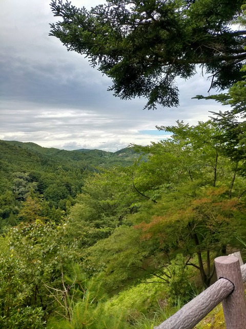 IMG20240730115911