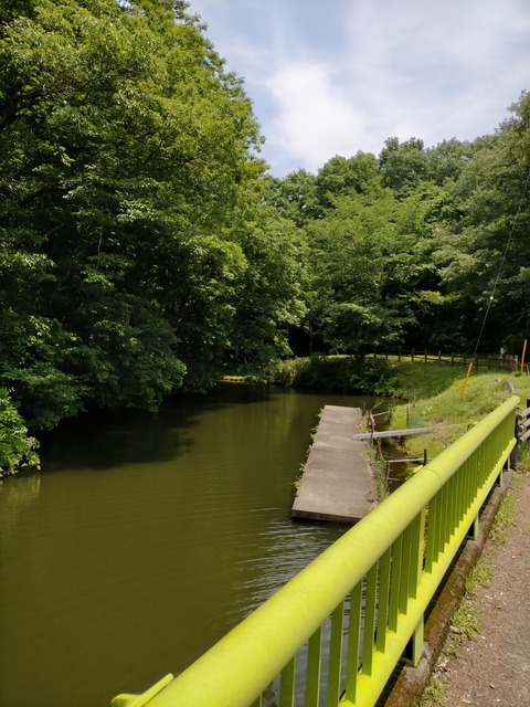 IMG20210608104512