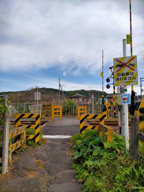 IMG20221027112843