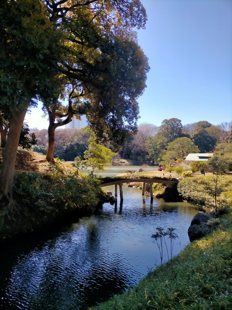 IMG20240321094230