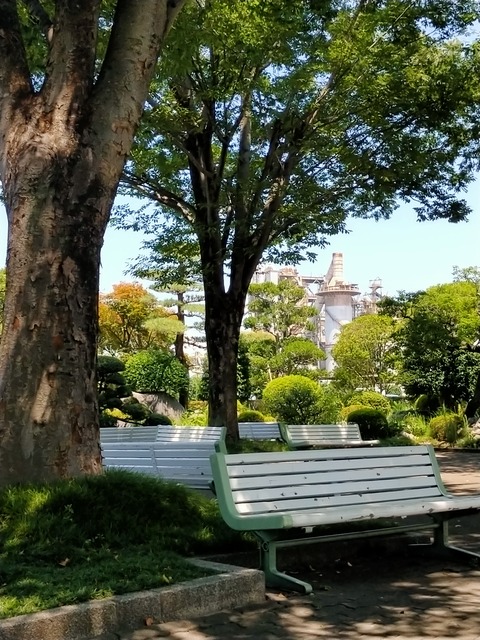 IMG20260720124515