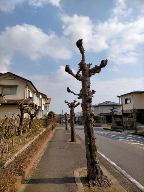 IMG20230208131337