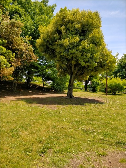 IMG20220510115623
