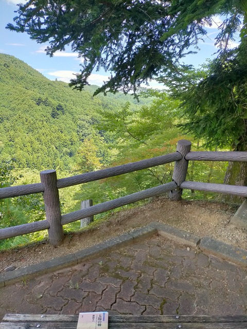 IMG20240730105750