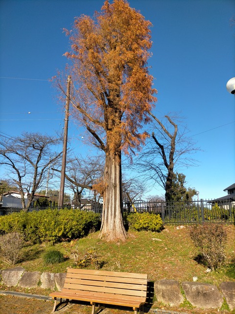 IMG20221215134127