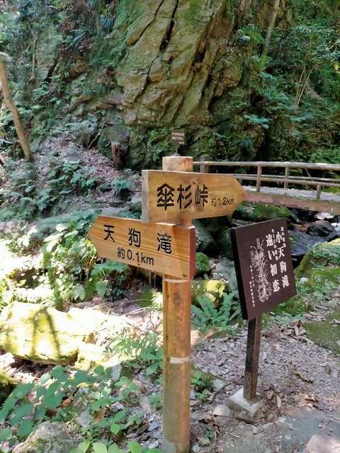 IMG20220701125340