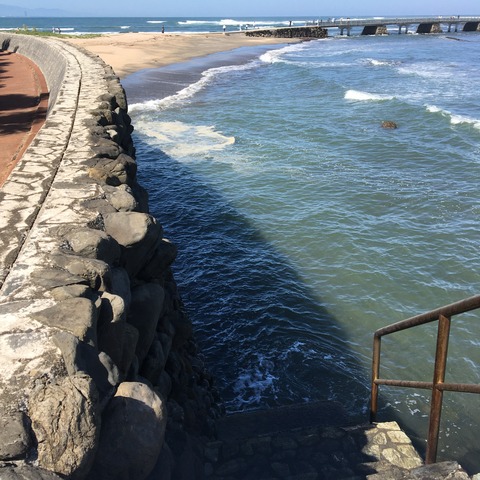 IMG_2339