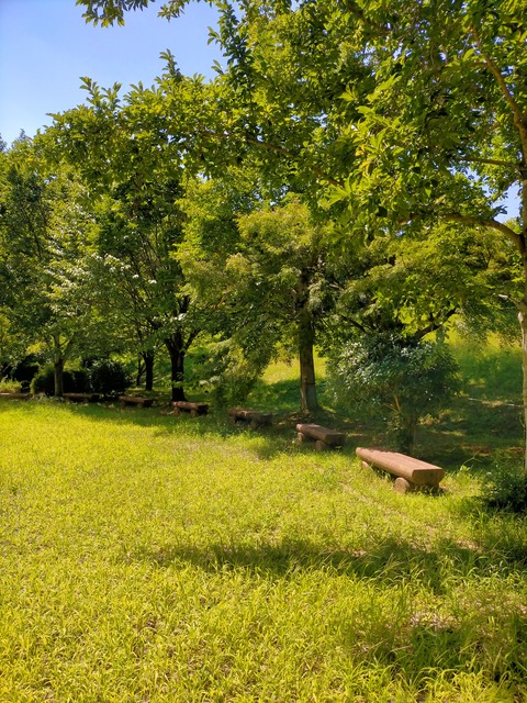 IMG20230803133429
