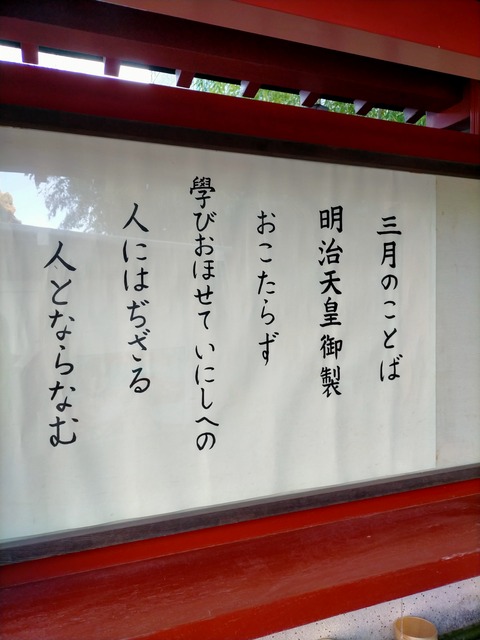 IMG20240321081051