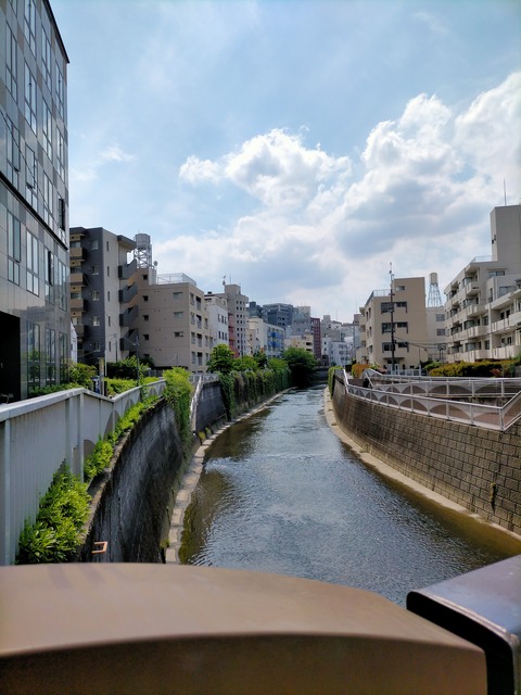 IMG20240521131828