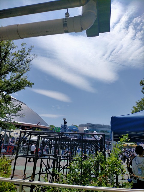 IMG20260428123047