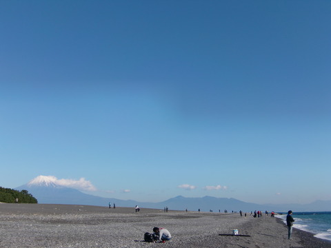 CIMG5579