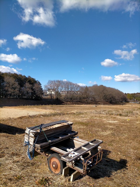IMG20220211141122