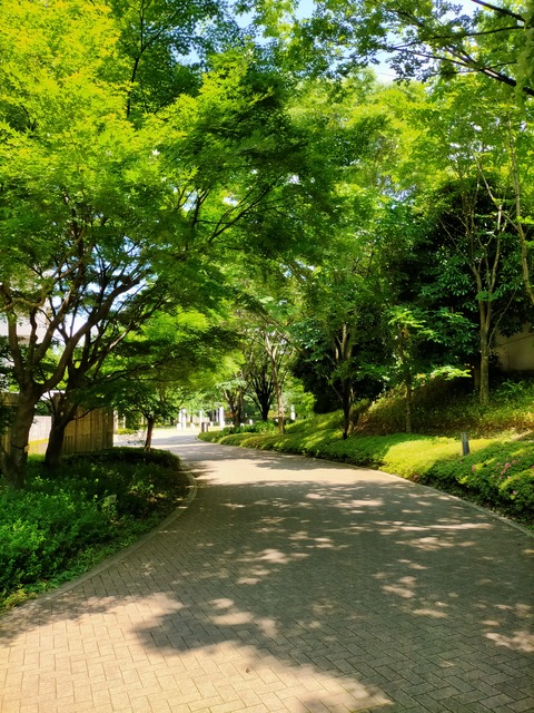 IMG20220525125223