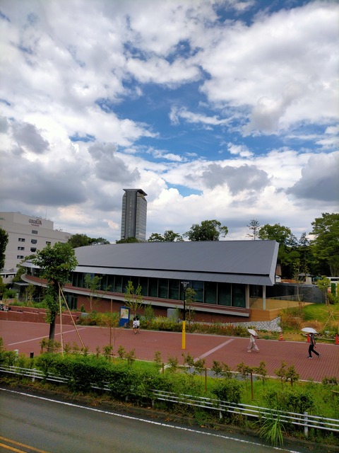 IMG20230808140352