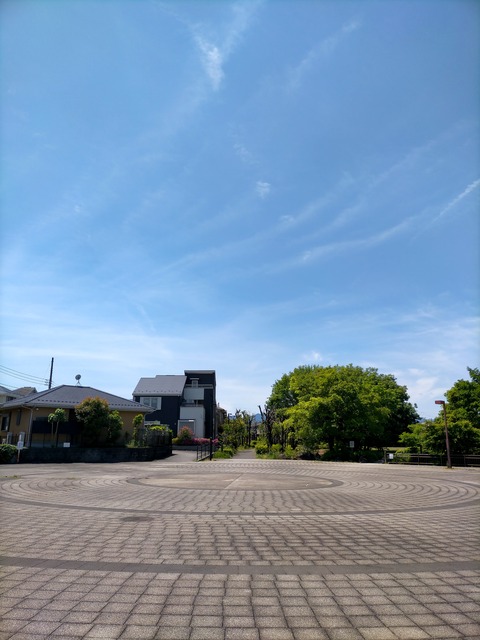 IMG20220510114558