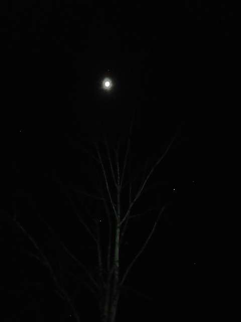 IMG20221114045428