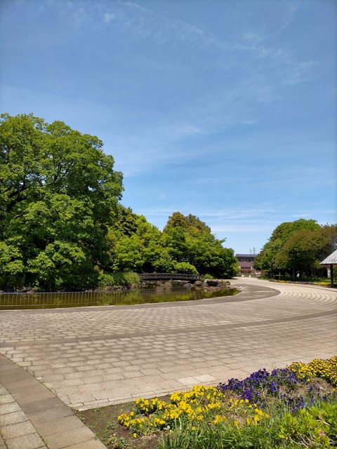 IMG20220510114626