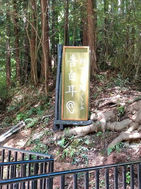 IMG20230802123338