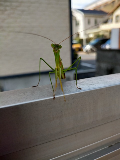 IMG20221023124352