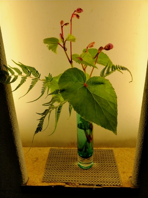 IMG20230714104927